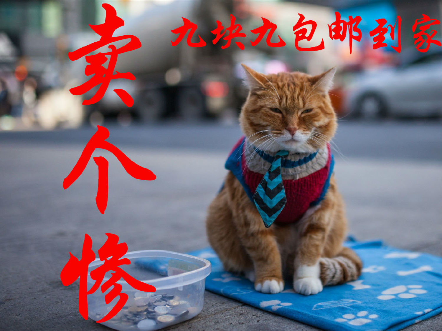 賣(mài)慘.jpg 賣(mài)慘.jpg